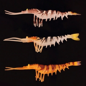 [AQUAX] 새우웜 2.8인치-3.9인치