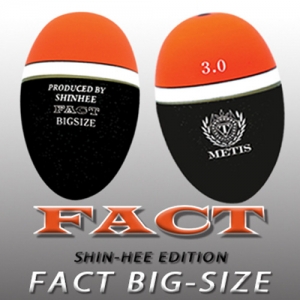 [세주코리아] FACT - (BIG) - 구멍찌